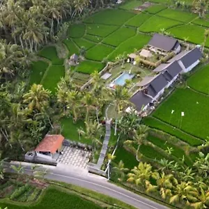  Guest house Coconut